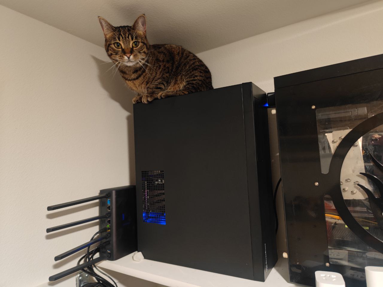 My cat enjoys high-spec hypervisor equipment